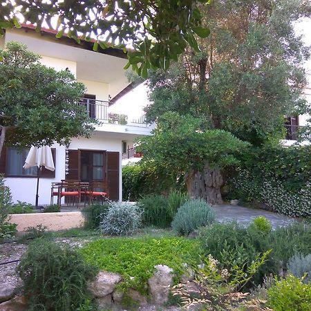 Neria Summer Houses Hanioti Zewnętrze zdjęcie